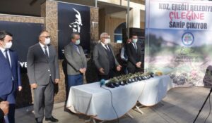 Kdz.Ereğli Belediyesi Osmanlı Çileğine sahip çıkıyor