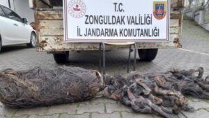 Bartın’dan çaldılar, Kdz.Ereğli’de yakalandılar