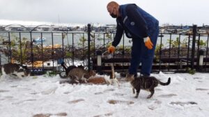 Kdz.Ereğli Belediyesi sokaktaki dostlarımızı unutmadı