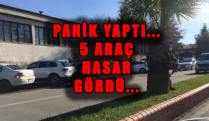 Panik yaptı park halindeki 5 araca hasar verdi