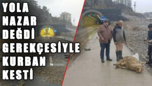 Yola nazar değdi dediler, kurban kestiler