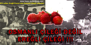 Osmanlı Çileği değil Ereğli Çileği !