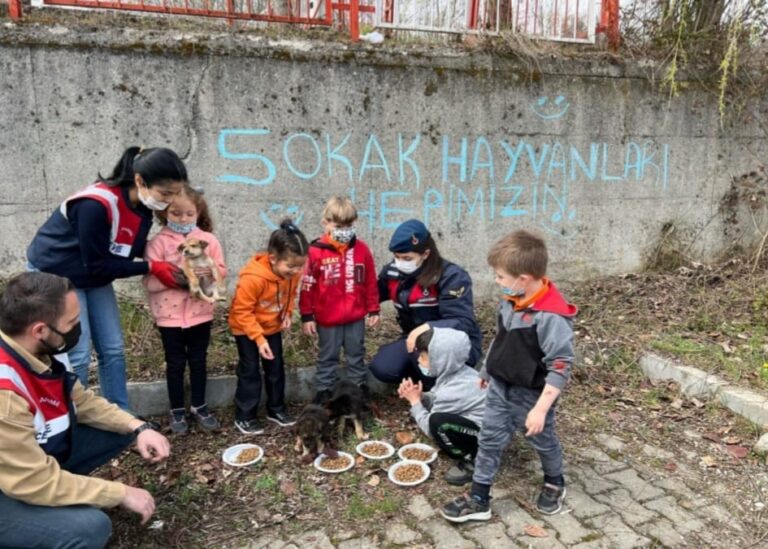 Jandarma sokak hayvanlarına mama ve su kapları bıraktı