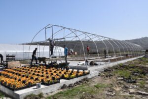 Ata Tohumu Projesi’nde 5. sera kuruluyor