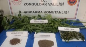 Devrek’te uyuşturucu operasyonu