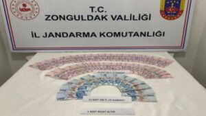 Pınarcık köyü hırsızları tutuklandı