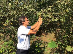 Başkan Ertuğrul fındık fiyatları hakkında açıklama yaptı