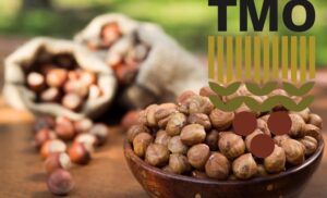 TMO 1 Eylül’den itibaren Kdz.Ereğli’de