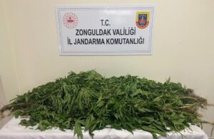 Jandarma 8 ayda tam 100 operasyon uyguladı