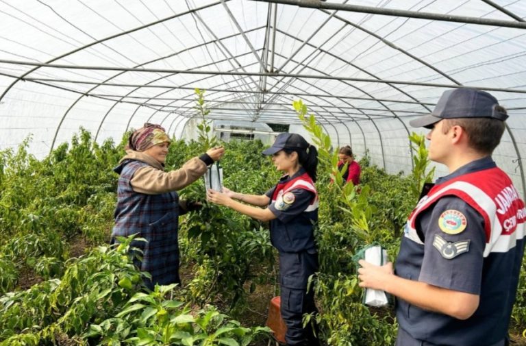 Kadın çiftçilere jandarmadan fide hediyesi