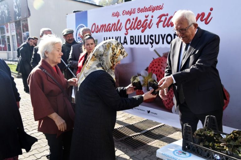 Kdz. Ereğli’de, 3 bin Osmanlı Çileği fidesi halkla buluştu