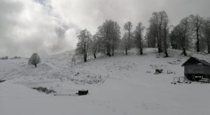 Yılın ilk karı, Alaplı Gümeli’ye Yağdı…