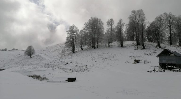 Yılın ilk karı, Alaplı Gümeli’ye Yağdı…