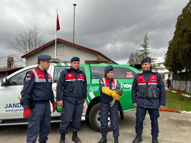 Yaralı Doğan’a Jandarma müdahalesi