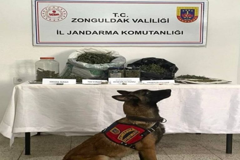 Kdz. Ereğli’de torbacı evine polis araması