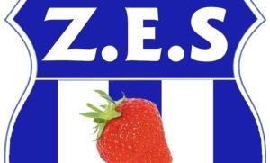 ZES’ten açıklama: “İkinci bir deprem etkisi”