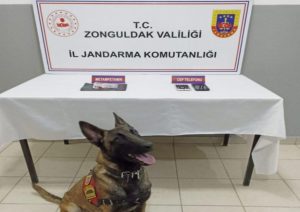 Kozlu ve Devrek’te uyuşturucu operasyonu