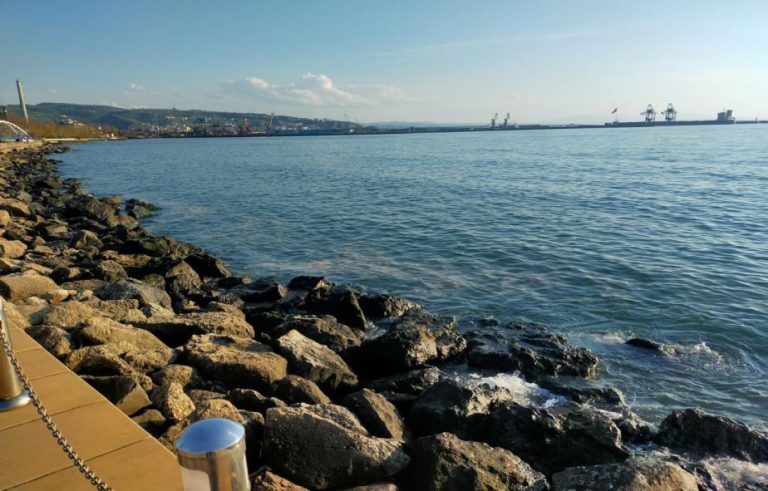 Kdz. Ereğli’de müsilaj haberleri konusunda açıklama