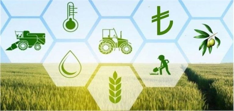 Kırsal kalkınma’da hibe desteğinden kimler yararlanabilecek?