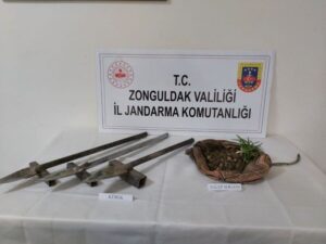 Kdz. Ereğli Çiğdemli köyünde salep toplayan şahıslar yakalandı