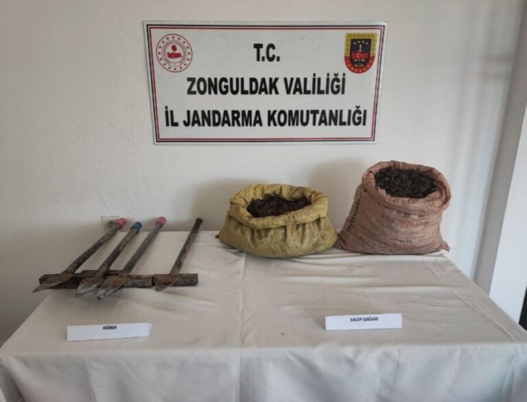 Kdz. Ereğli Esenler Köyünde 4 şahıs jandarmaya yakalandı