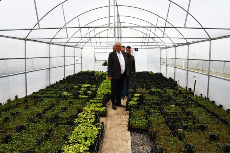 Kdz. Ereğli Belediyesi, 300 bin ata tohumu fidesi dağıtacak