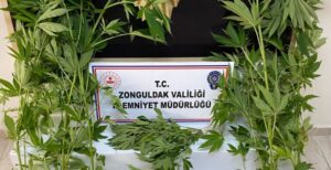 Zonguldak Merkez’de uyuşturucu operasyonu