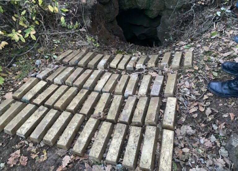 9 ilde eş zamanlı kaçakçılık operasyonu: 20 gözaltı