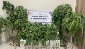 Zonguldak’ta uyuşturucu operasyonu: 1 şüpheli yakalandı