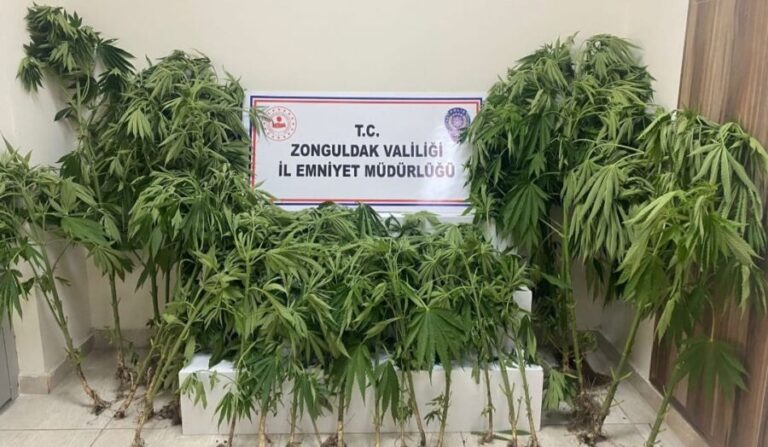 Zonguldak’ta uyuşturucu operasyonu: 1 şüpheli yakalandı