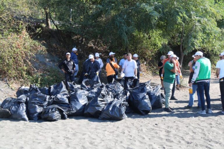 Dünya Temizlik Günü’nde plaj bölgesinde çöpler toplandı