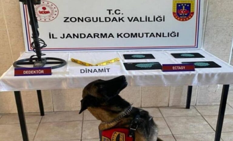 Narkotik suçlar uygulamasında 2994 şahıs sorgulandı