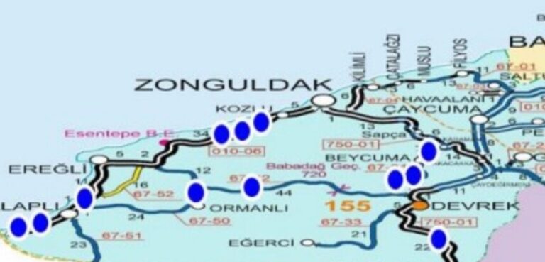 Milletvekili Bozkurt açıkladı: Selde hasar alan yollar yapılacak
