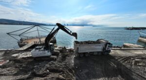 Kdz. Ereğli sahili, ilmek ilmek yeniden örülüyor