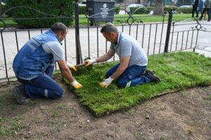 Kdz. Ereğli sahili, yeşilleniyor