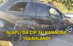 Önce su kanalına yuvarlandı sonra ağaca çarptı..!