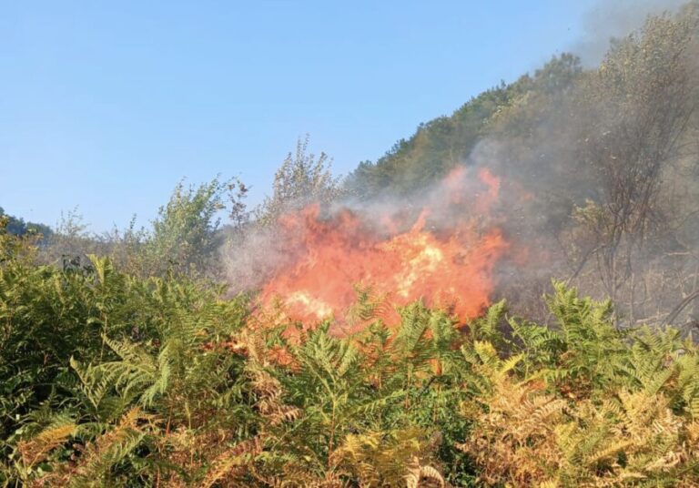 Kdz. Ereğli Aydınlar köyündeki yangının sebebi belli oldu