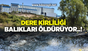 Yetkililer sessiz, vatandaş isyanda..!