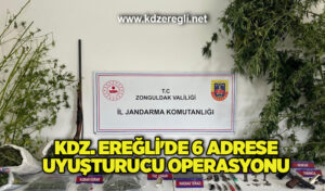 Kdz. Ereğli’de 6 adrese uyuşturucu operasyonu