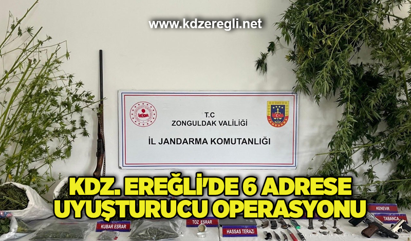 Kdz. Ereğli’de 6 adrese uyuşturucu operasyonu