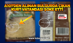 Kdz. Ereğli’de skandal: A101’den alınan bulgurda çıkan kurt vatandaşı şoke etti