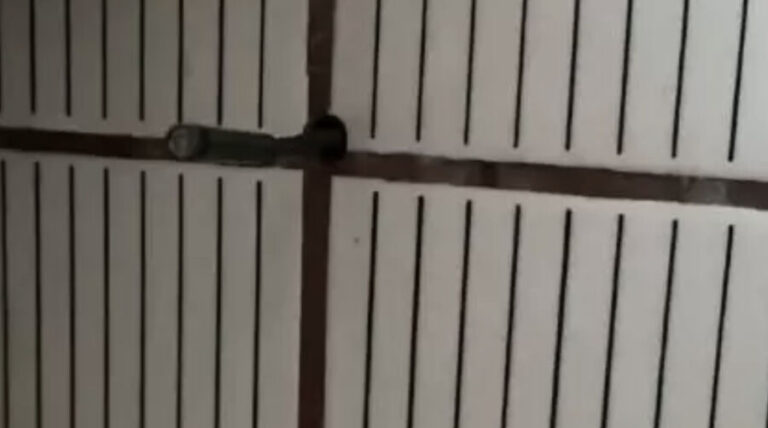 Kiracısının evine yılan kamera soktu…