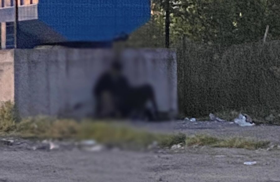 Subaşı köyünde skandal iddia: Hayvana cinsel istismar iddiası şoke etti..