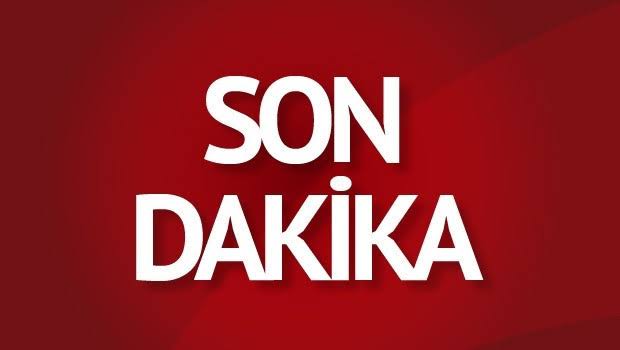 Kdz. Ereğli’de Hayvana Cinsel İstismar İddiası: Şüpheli Tutuklandı