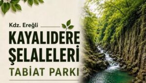 Kayalıdere Şelaleleri tabiat parkı ilan edildi