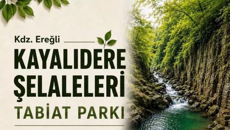 Kayalıdere Şelaleleri tabiat parkı ilan edildi