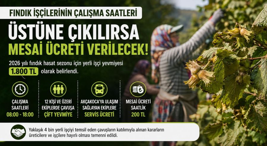 Fındık işçilerinin çalışma saatleri üstüne çıkılırsa mesai ücreti verilecek!..