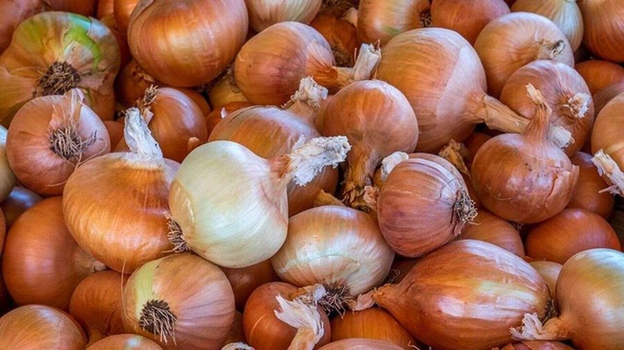 Kuru soğanda gümrük geçici yüzde 5’e indirildi