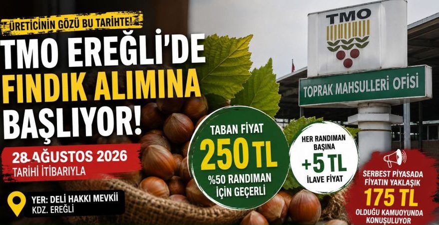 TMO, Kdz.Ereğli’de fındık alımına başlıyor: Taban fiyat 250 TL olarak açıklandı
