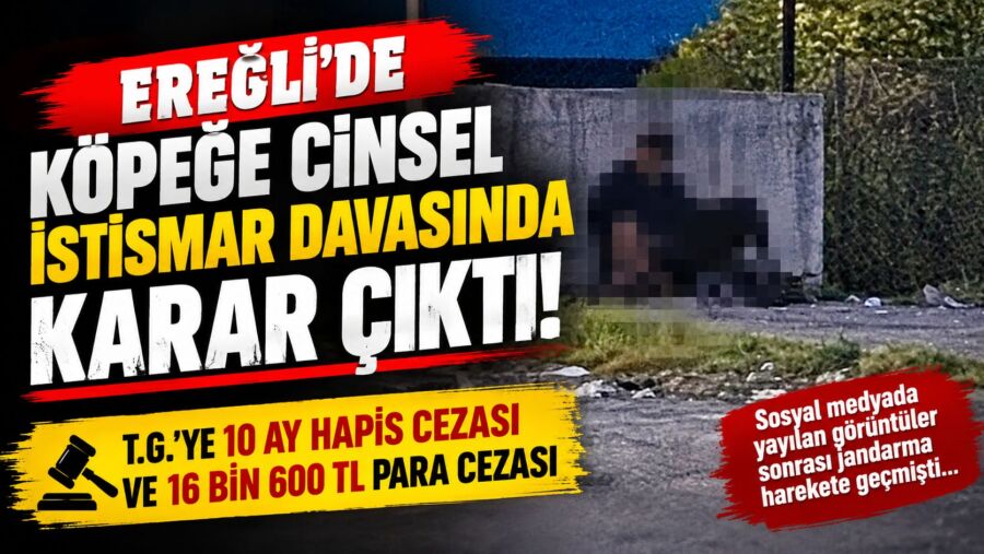 Subaşı Köyü’ndeki Köpeğe İstismar Davasında Karar Çıktı